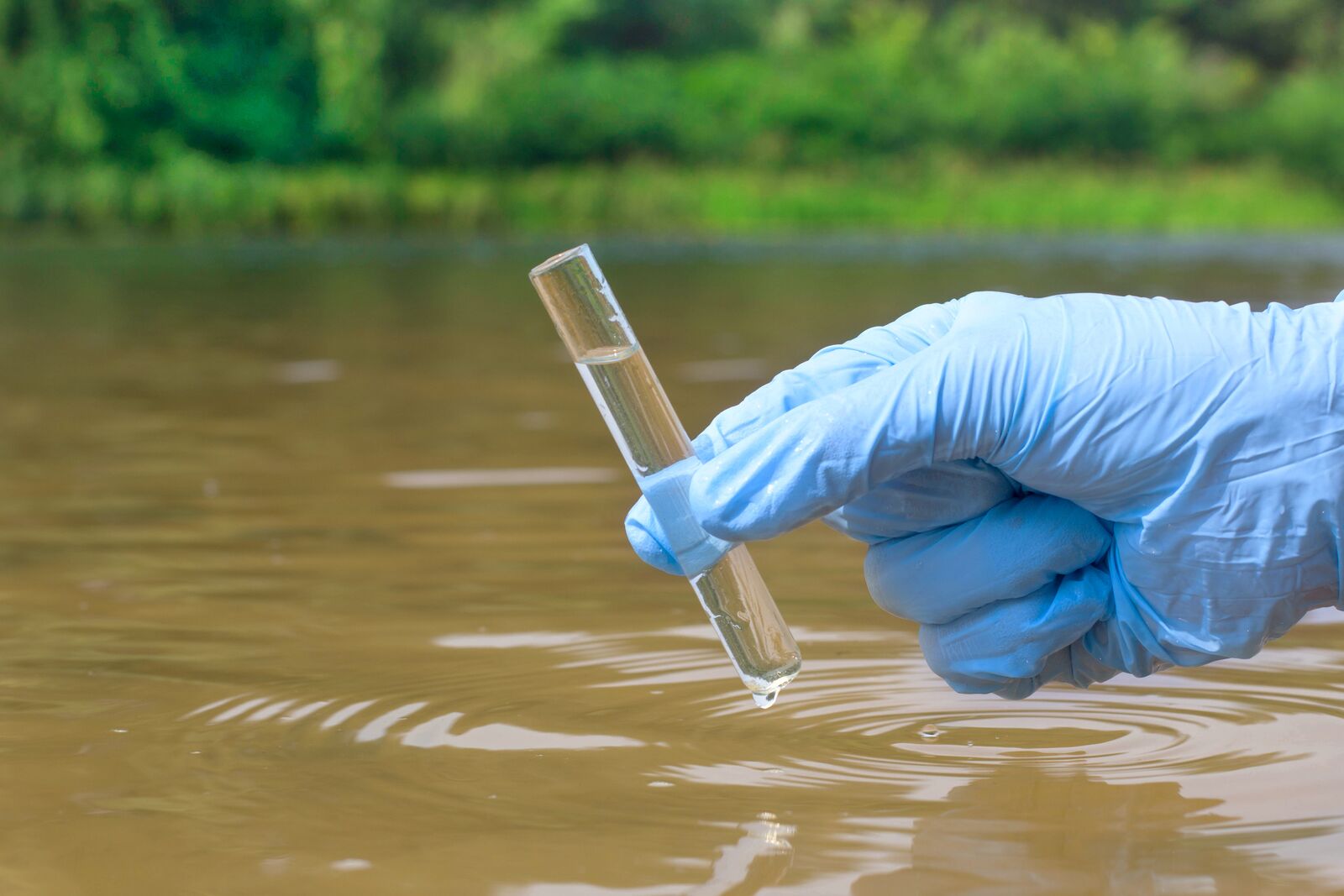 Why water looks different after a vacation